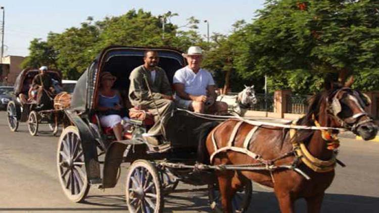 Horse-and-carriage