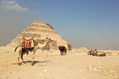 pirâmide-da-etapa-de-djoser-em-saqqara-egito-37926282